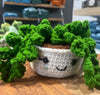 Crochet Succulents