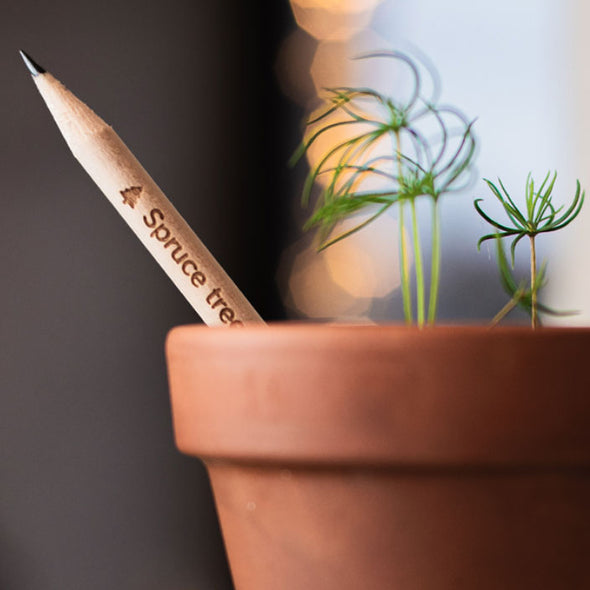 Spruce Tree Graphite Pencil – 1pk